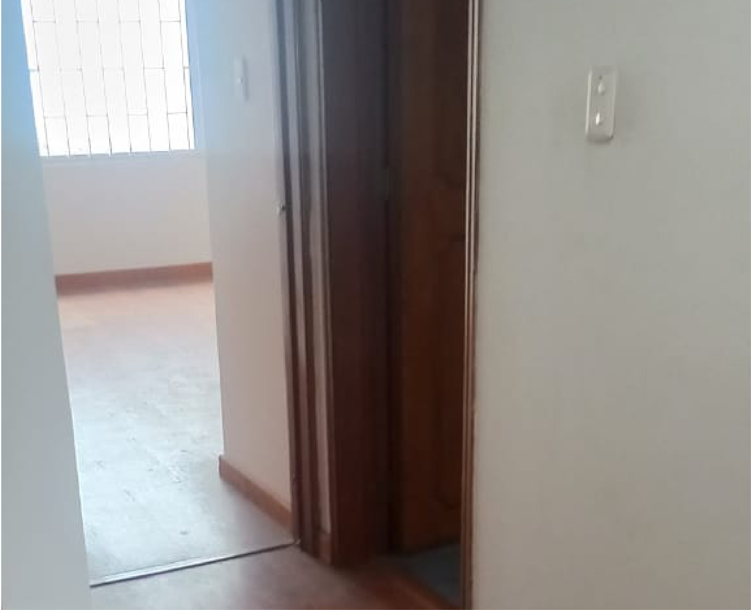 Fotos Proyectos_Olivar_Antes 17