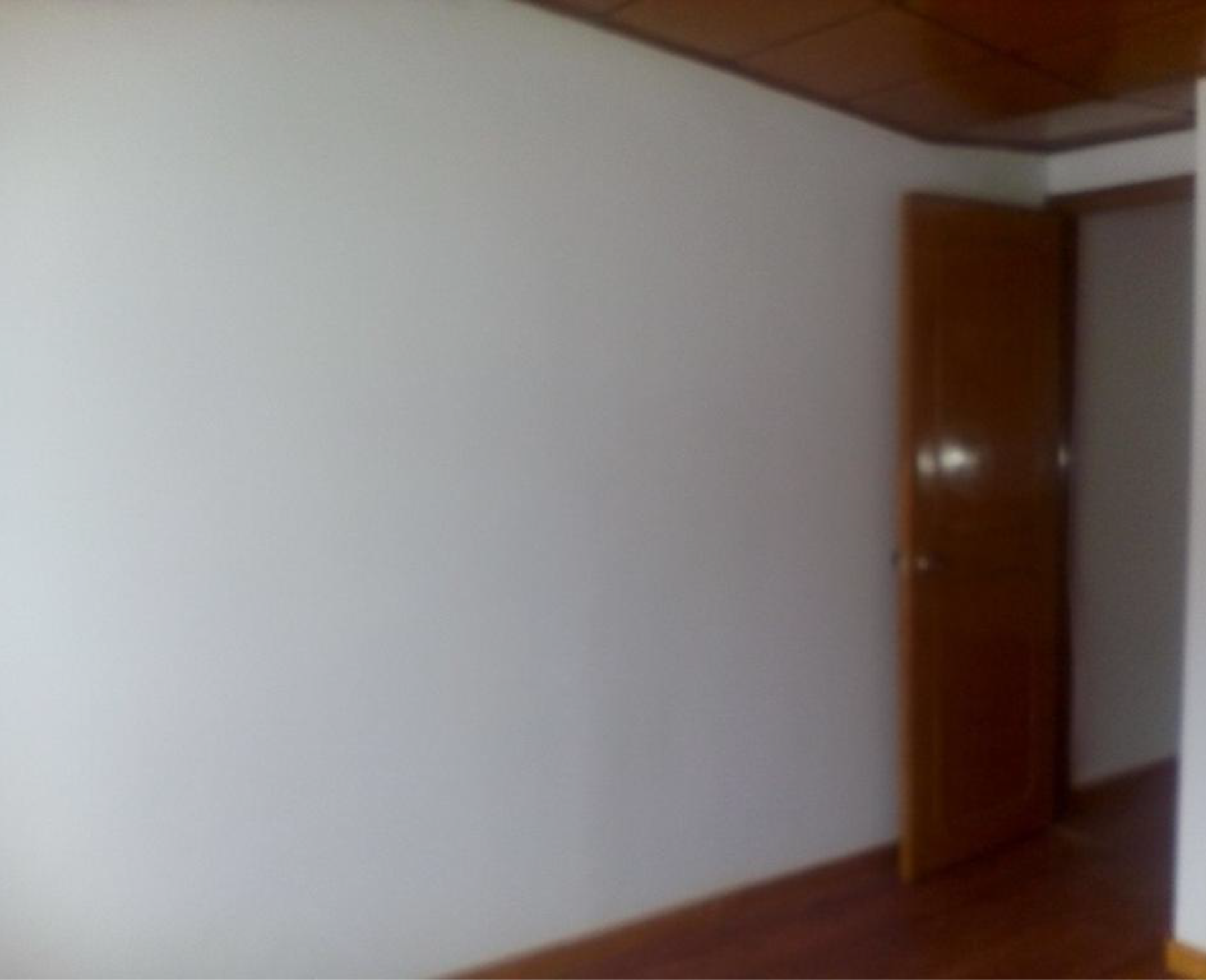 Fotos Proyectos_Olivar_Antes 4